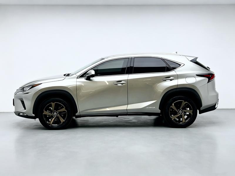 Lexus Lexus NX 2020
