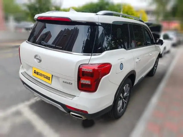 GAC Trumpchi GS8 320T two-wheel drive luxury Zhilian Edition 7 seats