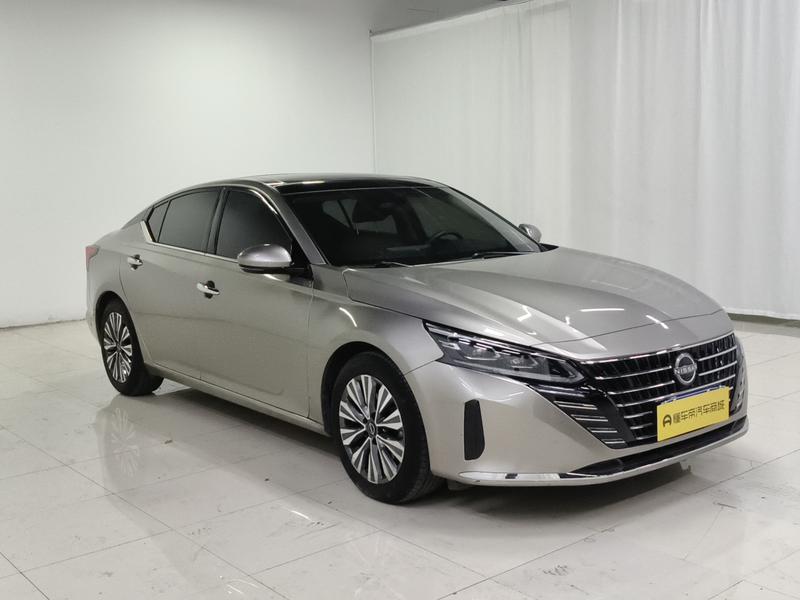 Nissan Sounds of Nature 2022