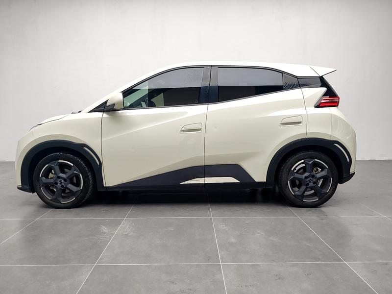 BYD seagull 2024