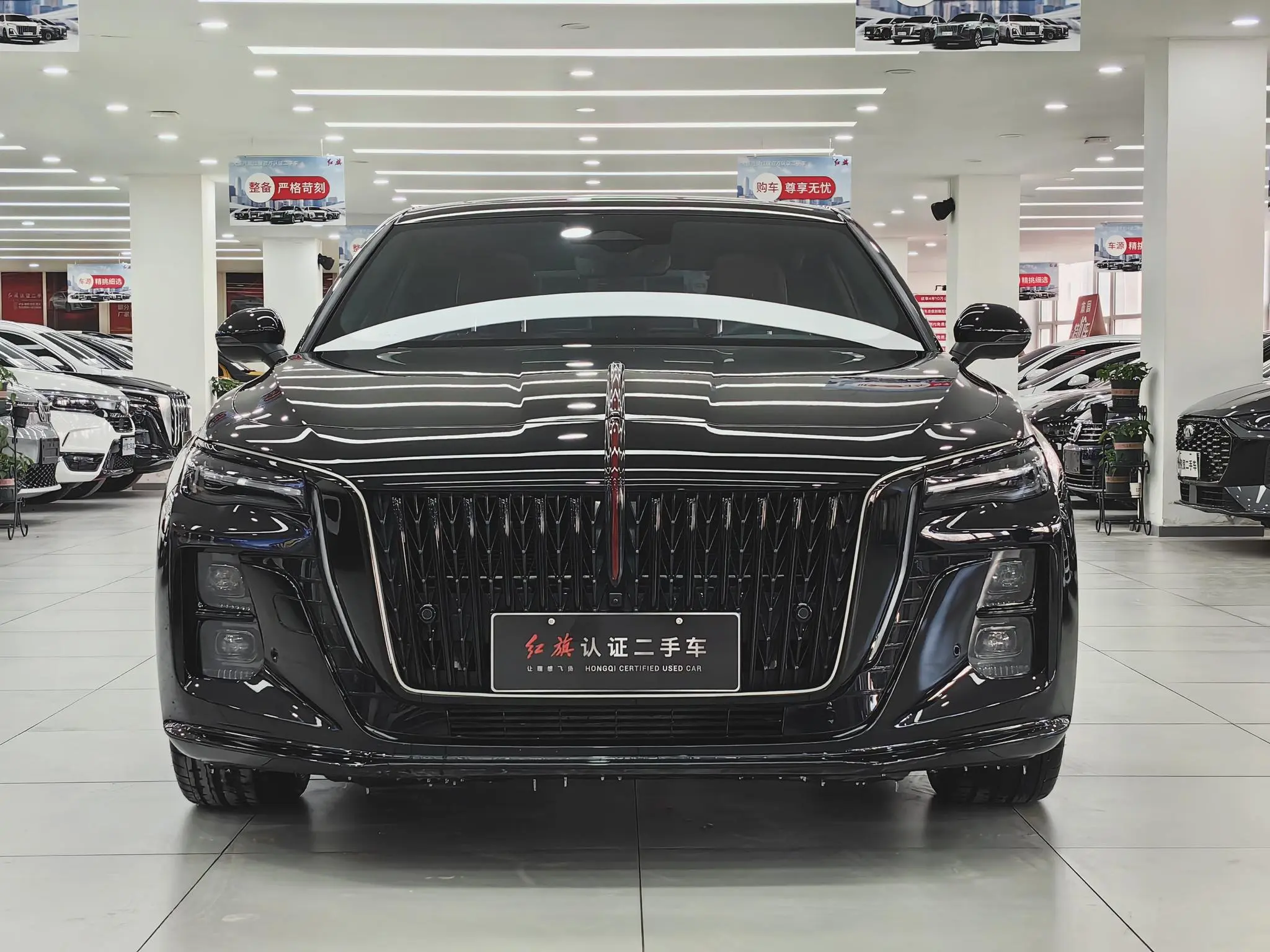 Hongqi Hongqi H5 2.0T Automatic Dark Shadow Version