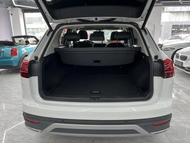 Volkswagen Tanyue 330TSI two-wheel drive 3rd anniversary Limited Edition