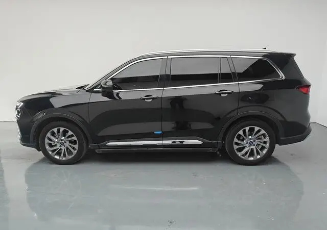 Ford Lingyu EcoBoost 225 6-seater premium collar type
