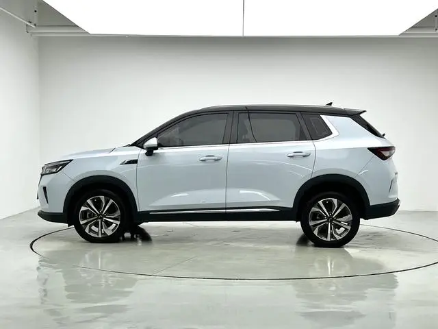 Wuling Wuling Xingchen 2.0L DHT electric speed model