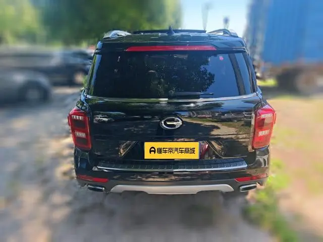 GAC Trumpchi GS8 320T two-wheel drive luxury Zhilian Edition 7 seats