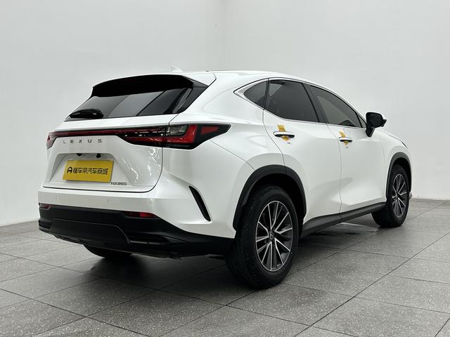 Lexus Lexus NX 2023
