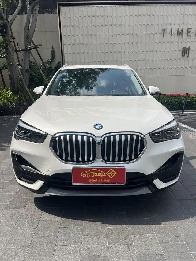 BMW BMW X1 sDrive25Li leading type