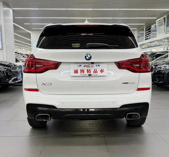 BMW BMW X3 xDrive25i M sports suit country VI