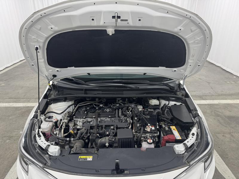 Toyota Levin 2024
