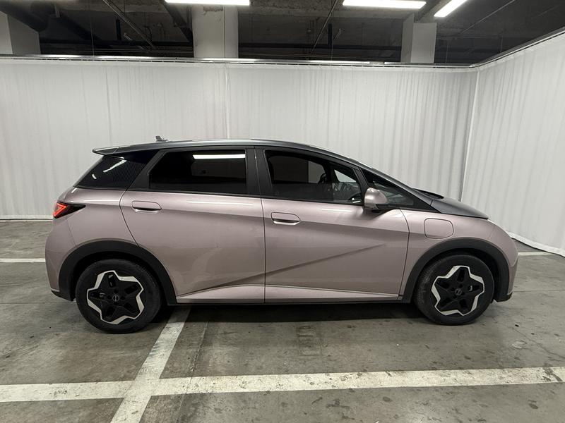 BYD dolphin 2021