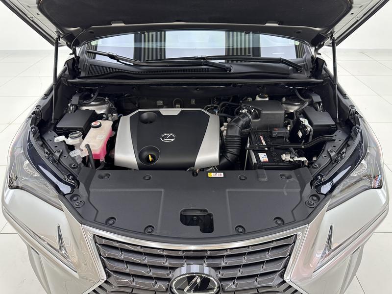 Lexus Lexus NX 2020