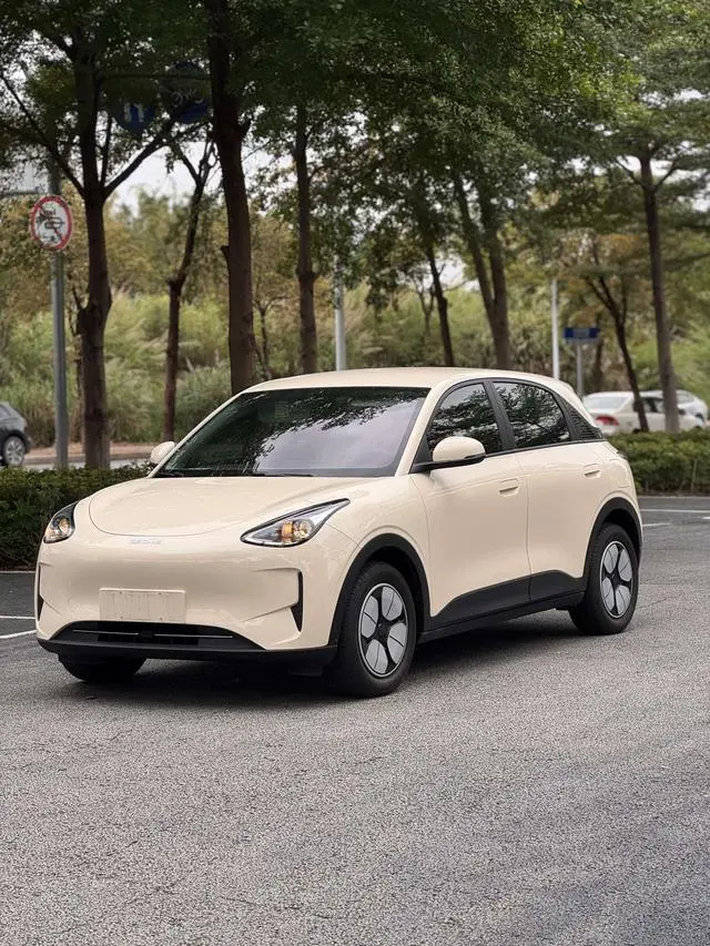 Geely Galaxy Star Wish 310km Youth Edition
