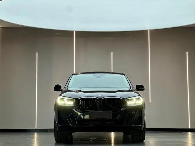 BMW BMW X4 xDrive 25i M sports suit