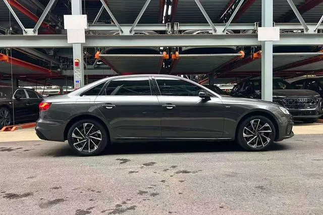 Audi Audi A4L 40 TFSI luxury Dynamic Type