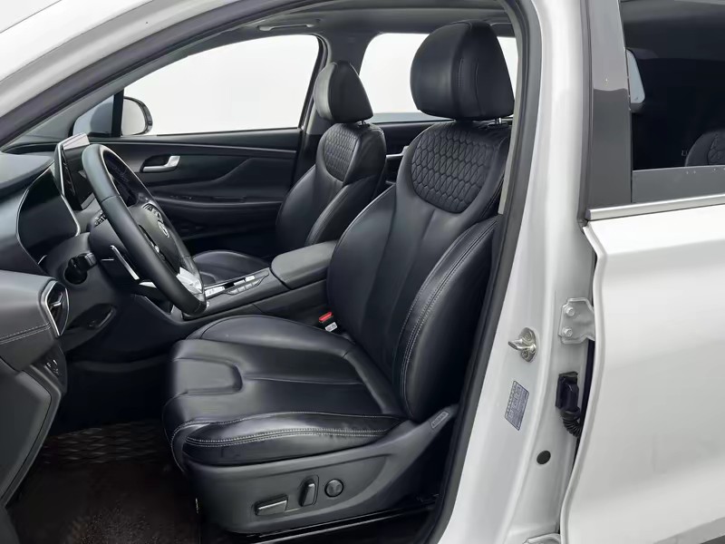 Hyundai Shengda 2019