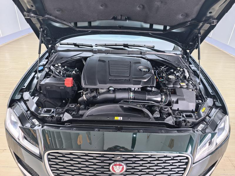 Jaguar Jaguar XFL 2024