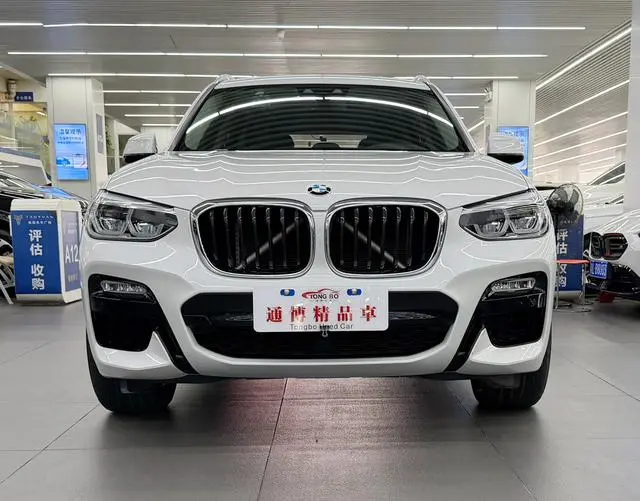 BMW BMW X3 xDrive25i M sports suit country VI