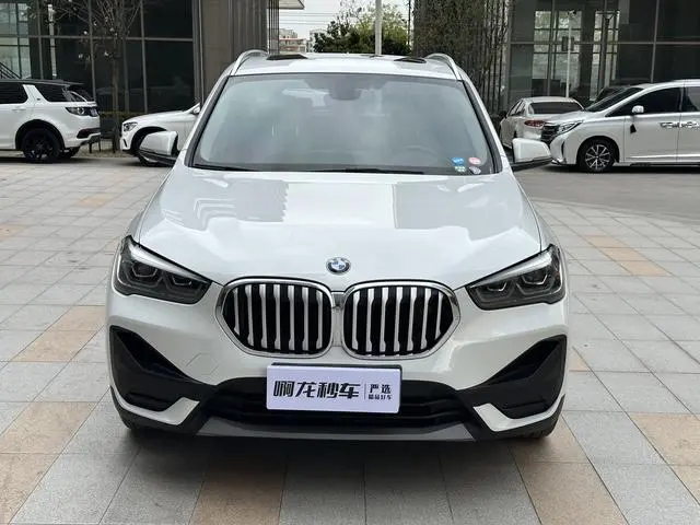 BMW BMW X1 sDrive25Li leading type