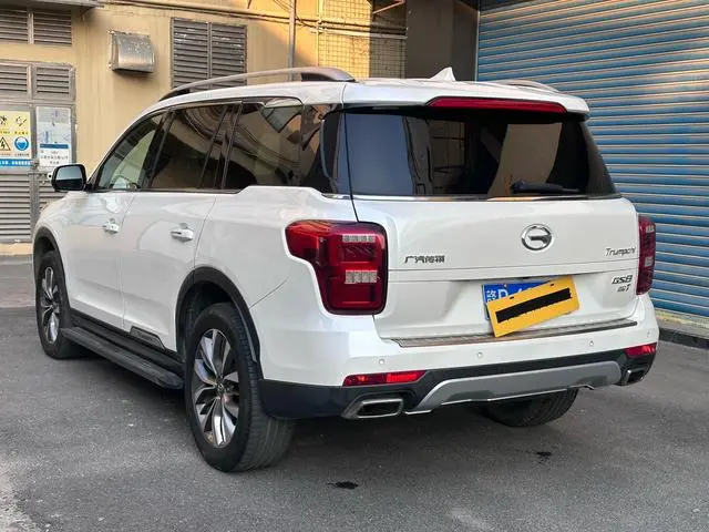GAC Trumpchi GS8 320T two-wheel drive luxury Zhilian Edition 7 seats