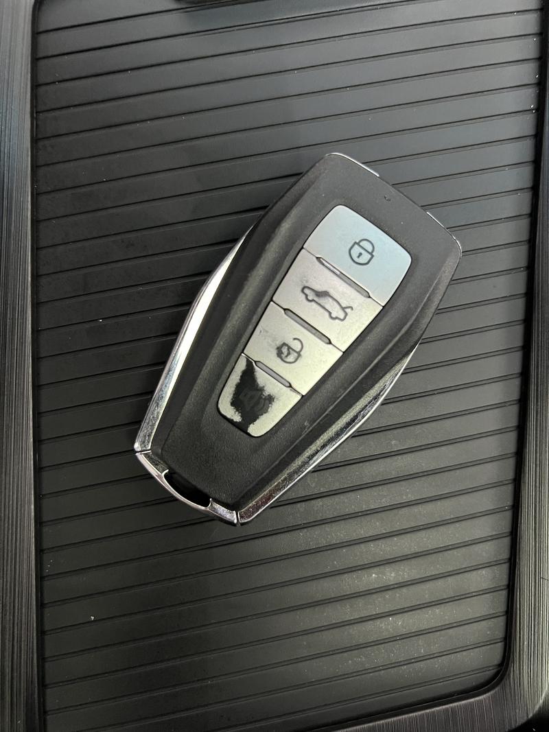 Geely Binrui 2020