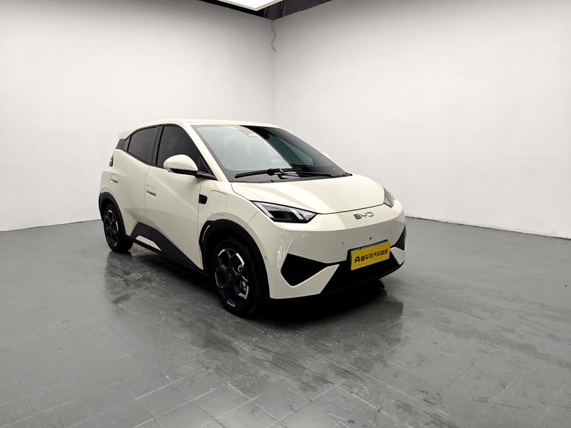 BYD seagull 2025