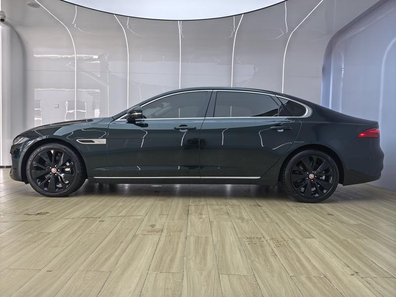 Jaguar Jaguar XFL 2024