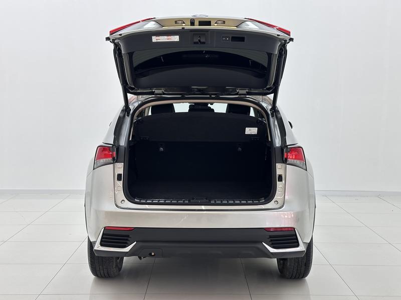 Lexus Lexus NX 2020