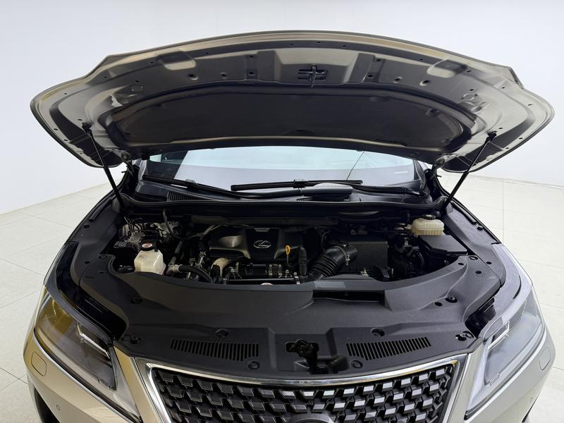 Lexus Lexus RX 2020