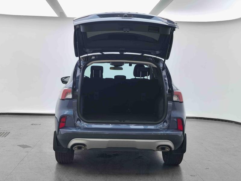 Ford Ruiji 2020
