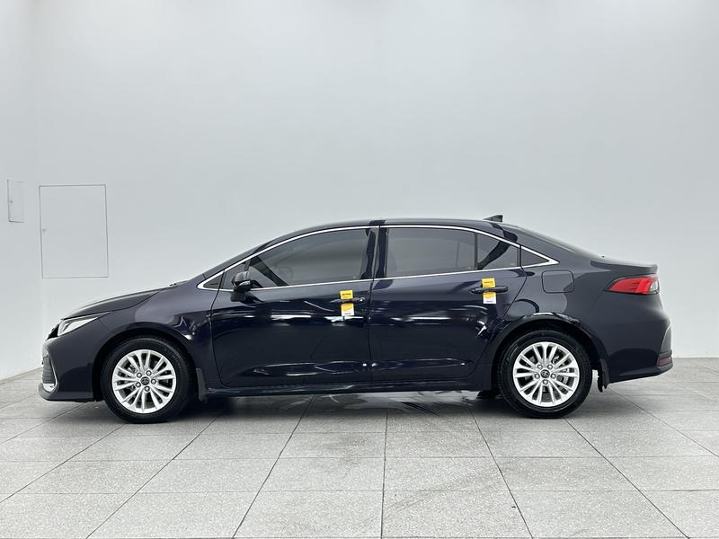 Toyota Asian lion 2021