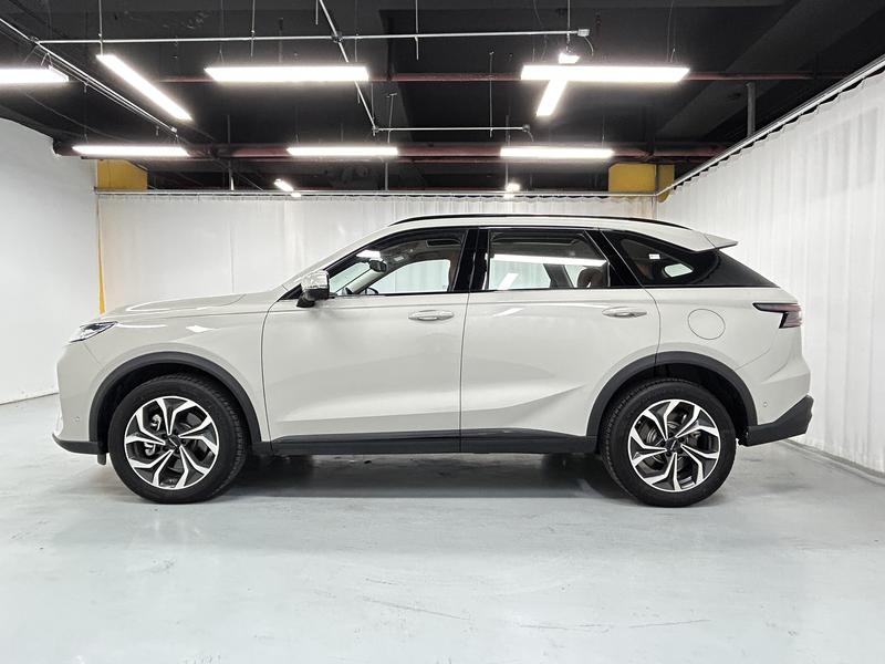 Haval Haval Xiaolong MAX 2025