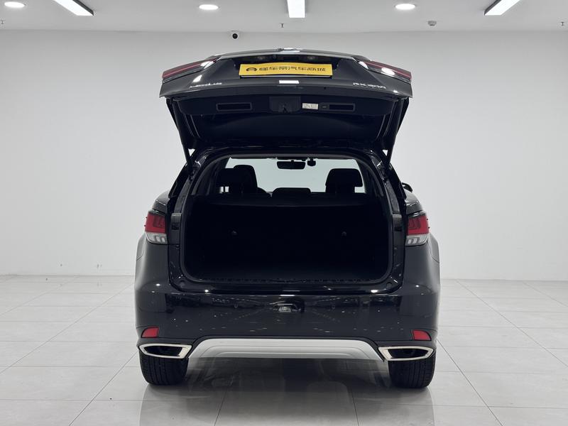 Lexus Lexus RX 2020