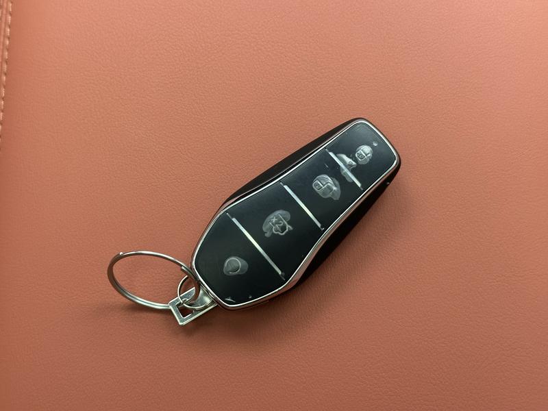 BYD Tang L DM 2025