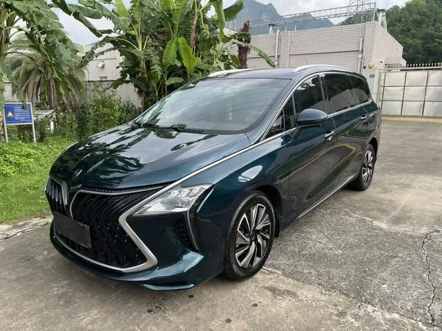 Dongfeng Fengxing Popular yachts 1.5T DCT Wave by Wave version
