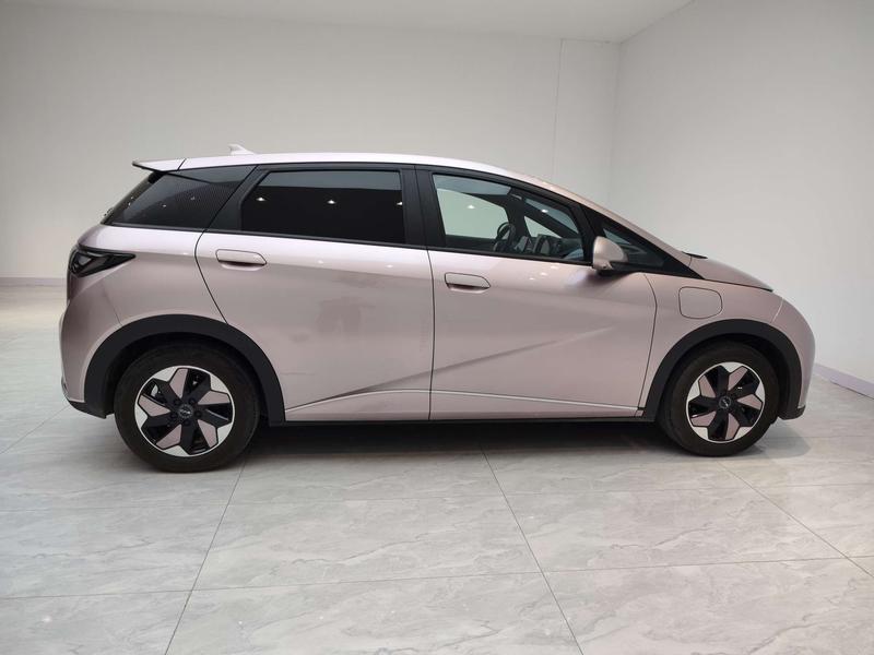 BYD dolphin 2024