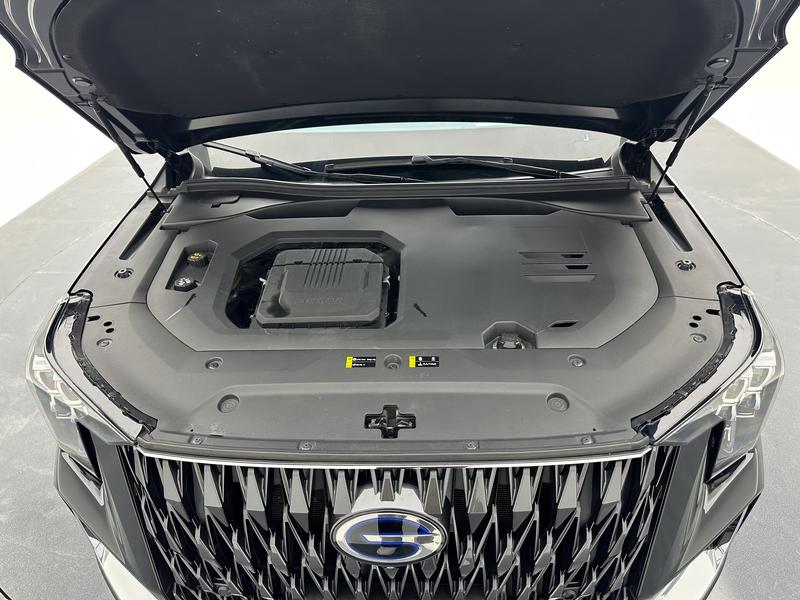 Trumpchi Trumpchi GS8 2024