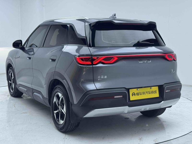 BYD Yuan UP 2024