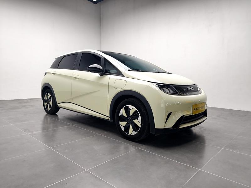 BYD dolphin 2025