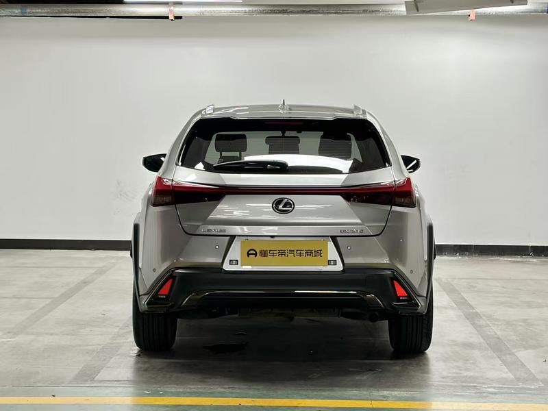 Lexus Lexus UX 2020