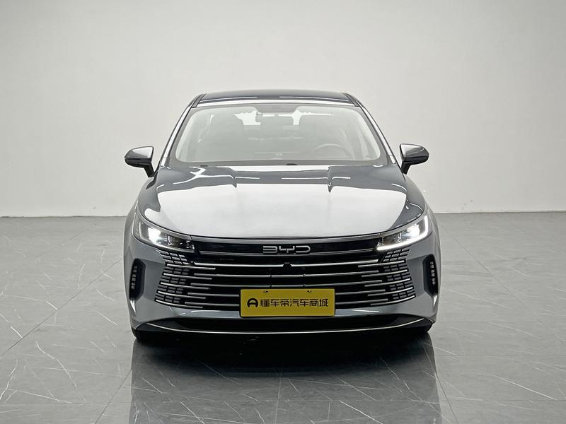 BYD Destroyer 05 2024