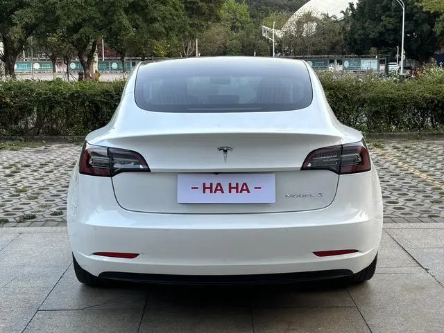 Tesla Model 3 Upgraded version of standard battery life rear drive