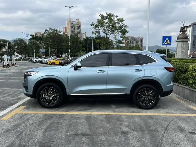 Haval Haval H6 PHEV 1.5T DHT-PHEV 110km Yuexing Edition