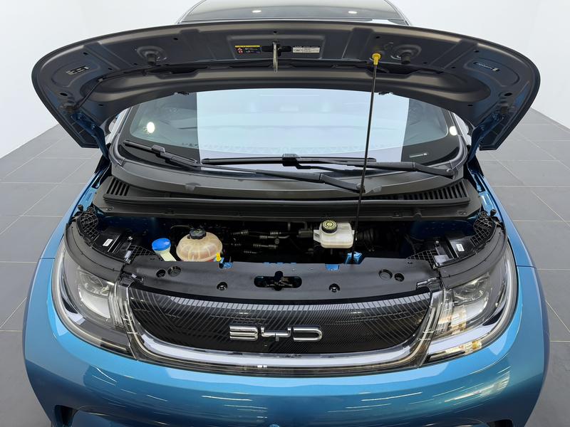 BYD dolphin 2021