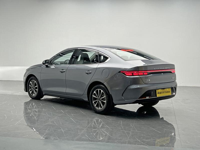 BYD Destroyer 05 2024