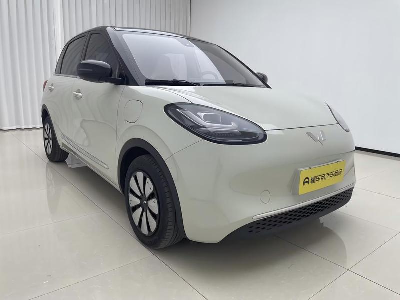 Wuling Wuling Binguo 2023