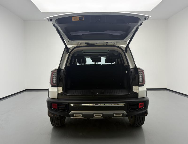 Haval Haval Big Dog 2021