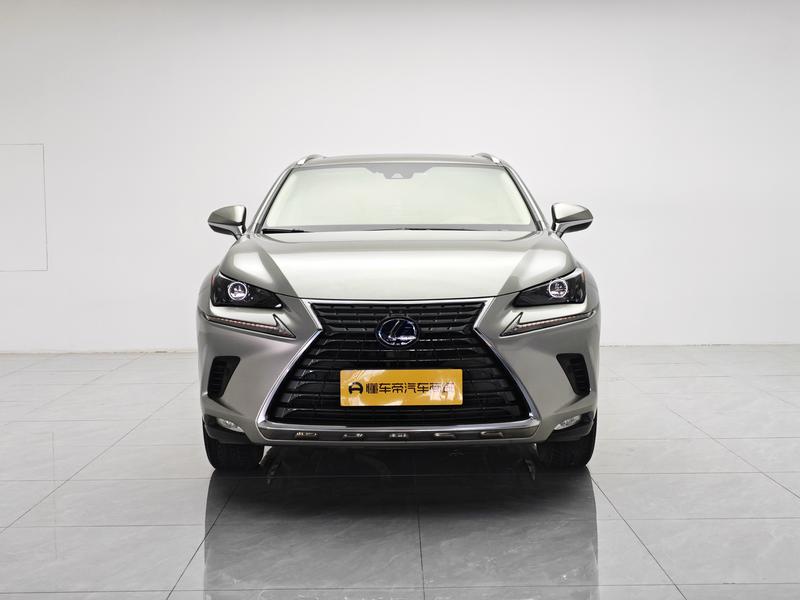 Lexus Lexus NX 2020