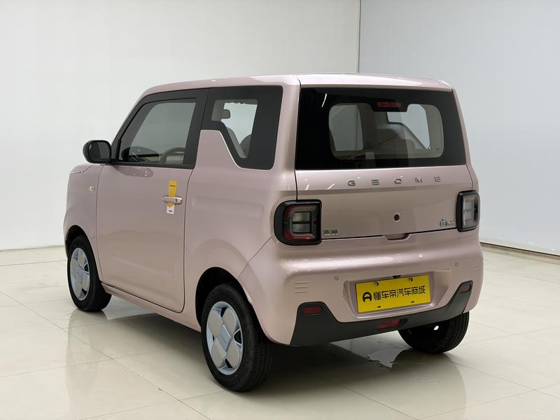 Geely Galaxy panda 2023