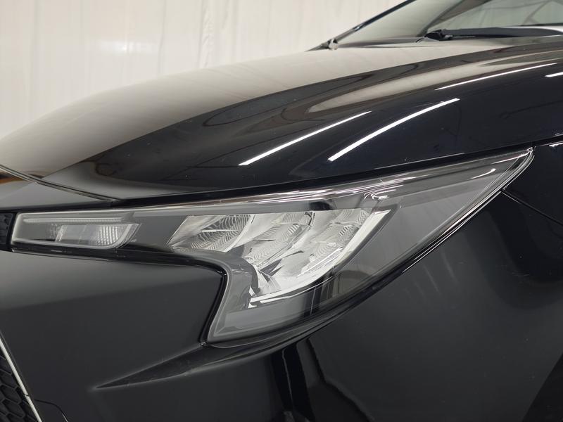 Toyota Levin 2019