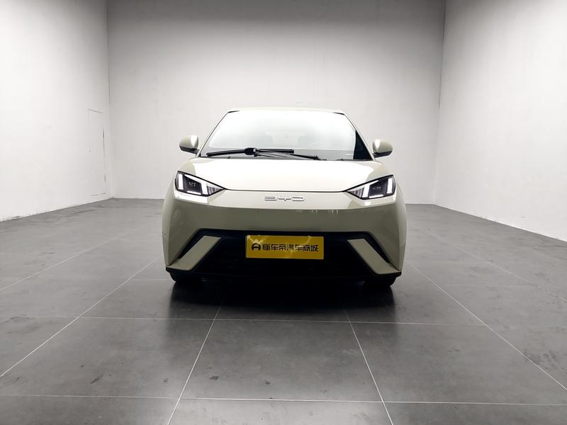 BYD seagull 2024